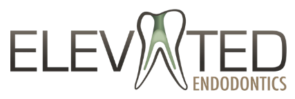 Link to Elevated Endodontics home page